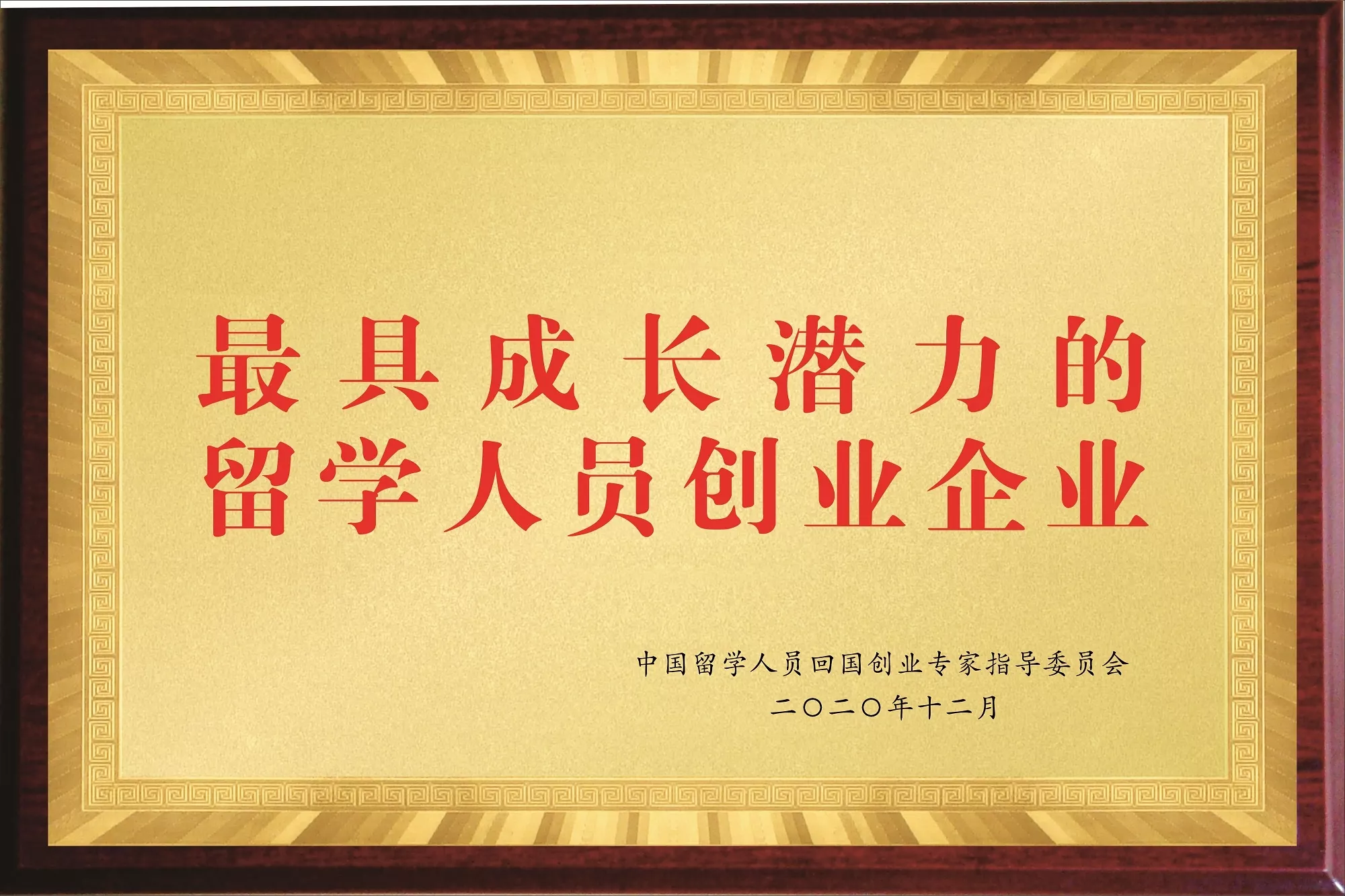 9、最具成长潜力的留学人员创业企业.jpeg
